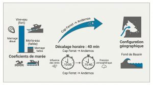 Camping dernière minute : votre séjour à prix réduit