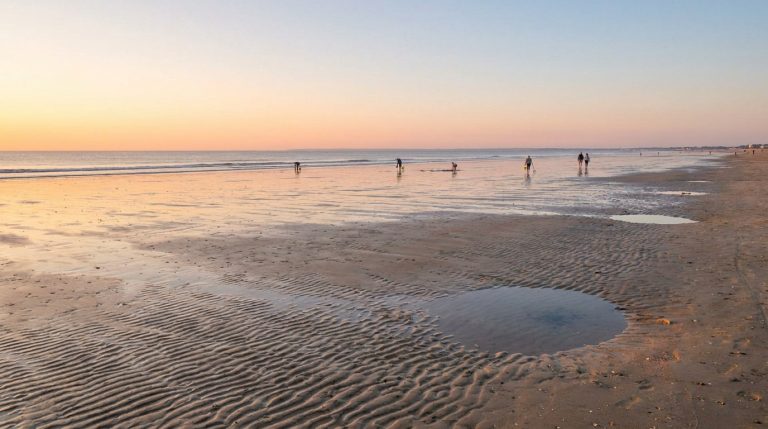 Horaires et coefficients de la marée à La Baule en 2026