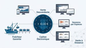 Tout savoir sur la criée de La Rochelle à Chef de Baie