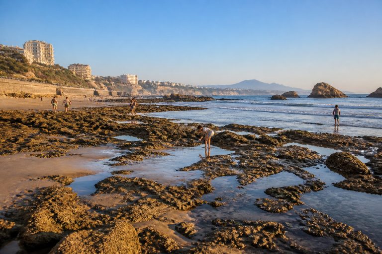 Marées Biarritz : horaires et coefficients