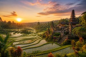 Ubud, cœur spirituel de Bali : nature, culture et bien-être