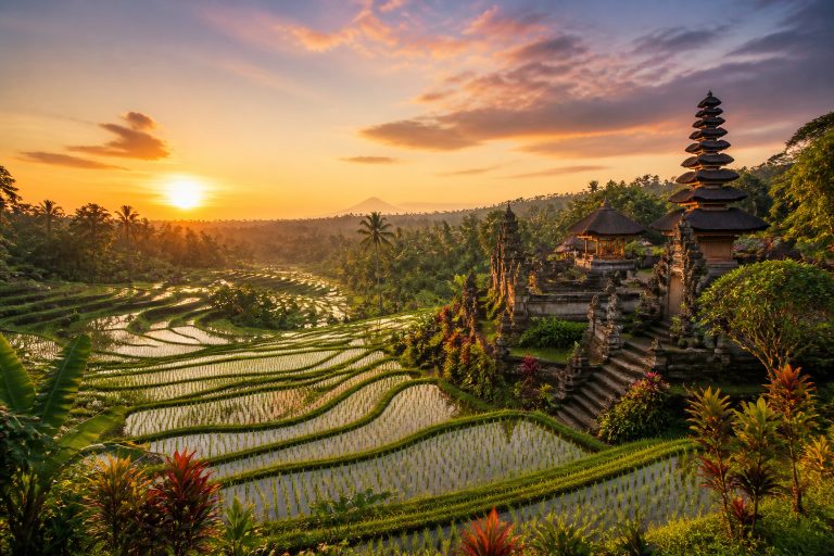 Ubud, cœur spirituel de Bali : nature, culture et bien-être