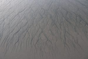 Mascaret Gironde : vague impressionnante, spectacle naturel