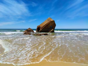 Capbreton : camp de base entre océan et forêt