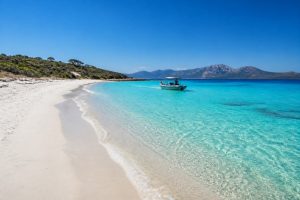 Plage Saleccia : accès, préparation et découverte