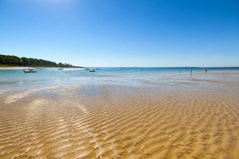 Arcachon : marées et coefficients juillet 2026