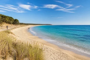 L'Île de Ré : votre itinéraire plage idéal en 2026