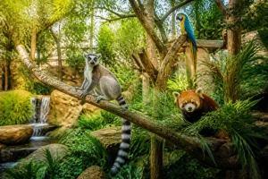 Le zoo des Sables d'Olonne : un monde animal fascinant