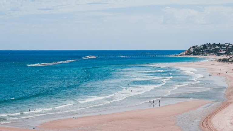 Organiser un séjour scolaire sur le littoral atlantique : idées d’activités pédagogiques