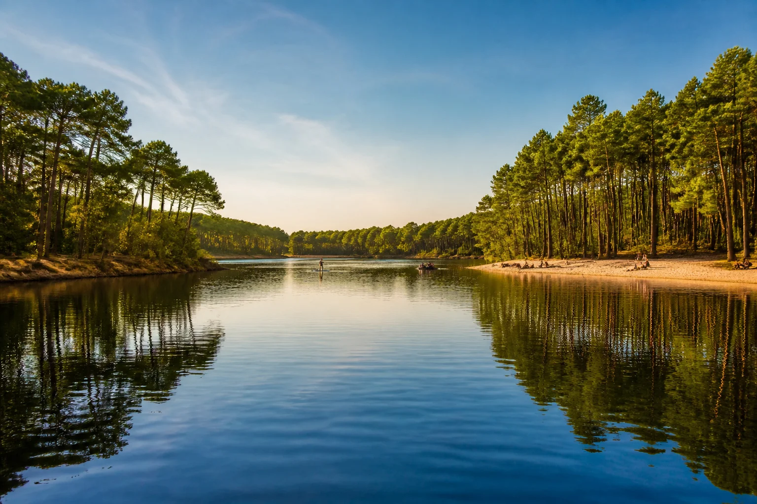 Lac paisible au coeur des pins landais