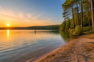 Parentis-en-Born : entre lac, forêt et traditions landaises