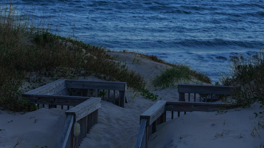 Accès à une dune de sable bordée de pins
