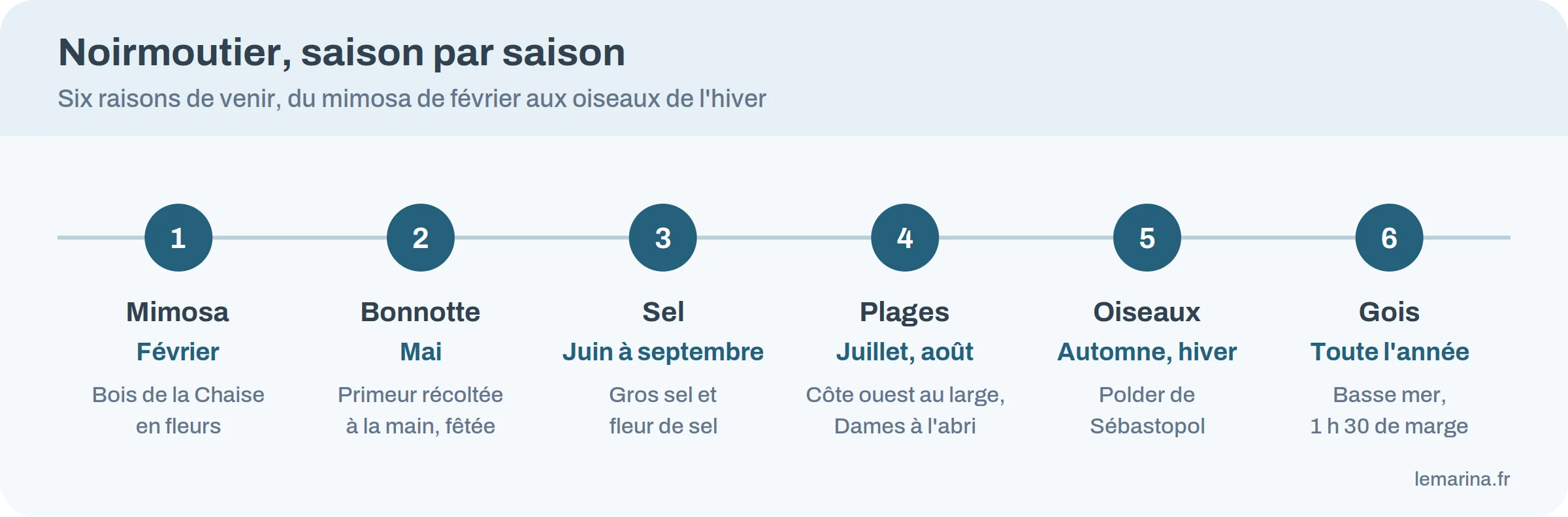 Calendrier de l'île de Noirmoutier saison par saison : mimosa, Bonnotte, sel, plages, oiseaux et marées