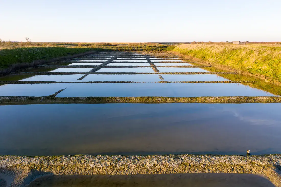 Bassins des marais salants de Loix, sur l’île de Ré
