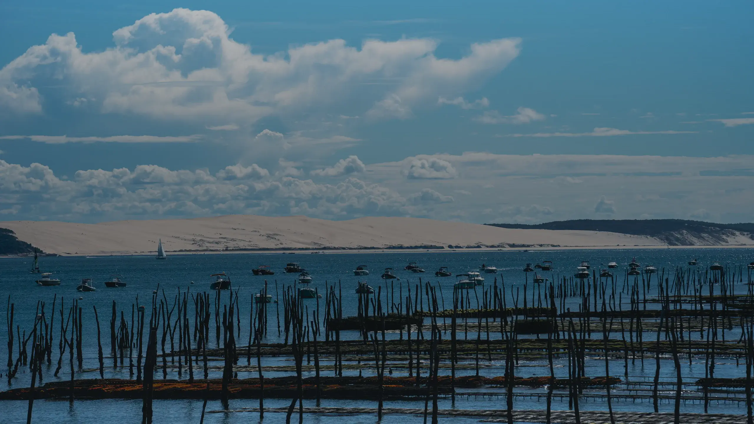 Bateaux au port sur le Bassin d’Arcachon