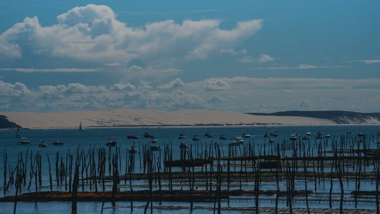 Que faire au Cap Ferret aujourd’hui selon marée et météo