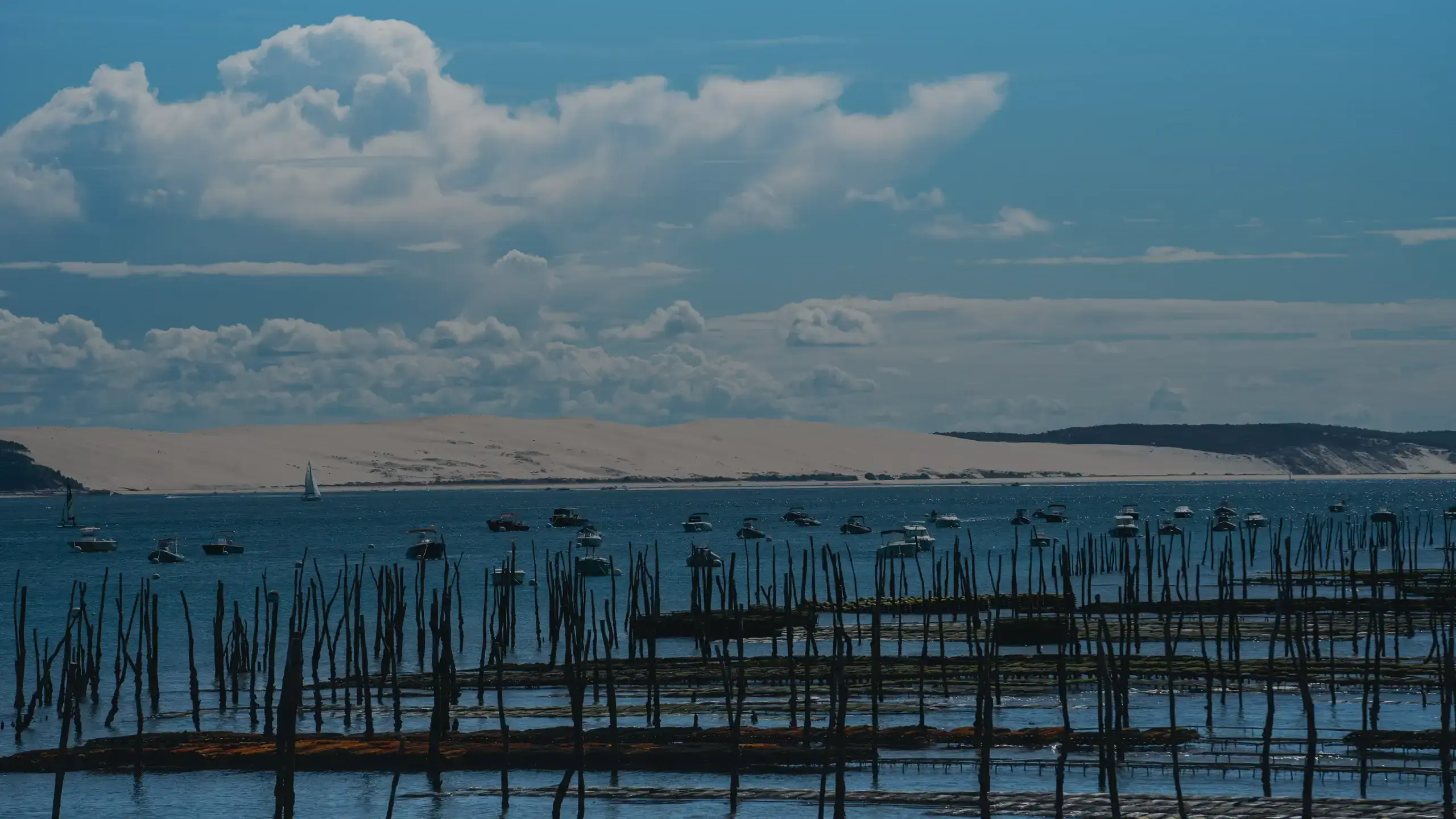 Parcs à huîtres du Bassin d’Arcachon face à la dune du Pilat