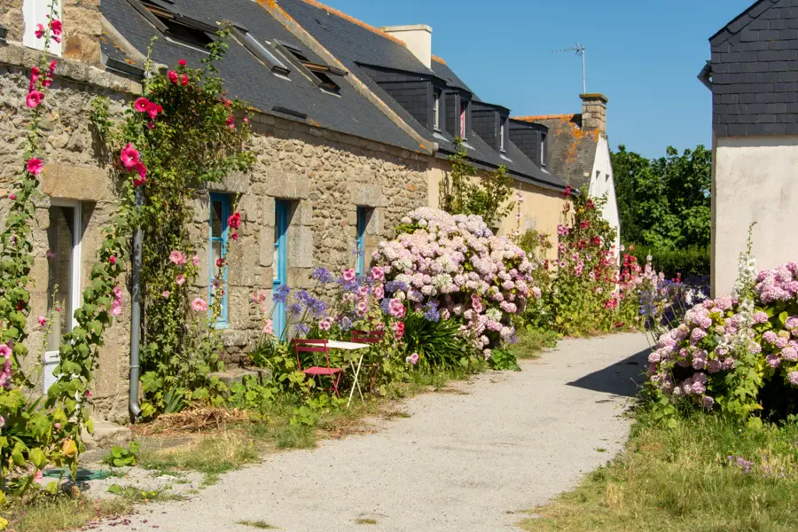 Ruelle bordée de murs de pierre, de maisons à volets bleus et de roses trémières en fleurs