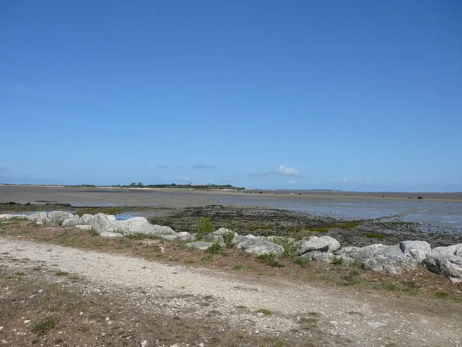 La côte de l’île Madame à marée basse, rochers et estran face à l’estuaire de la Charente